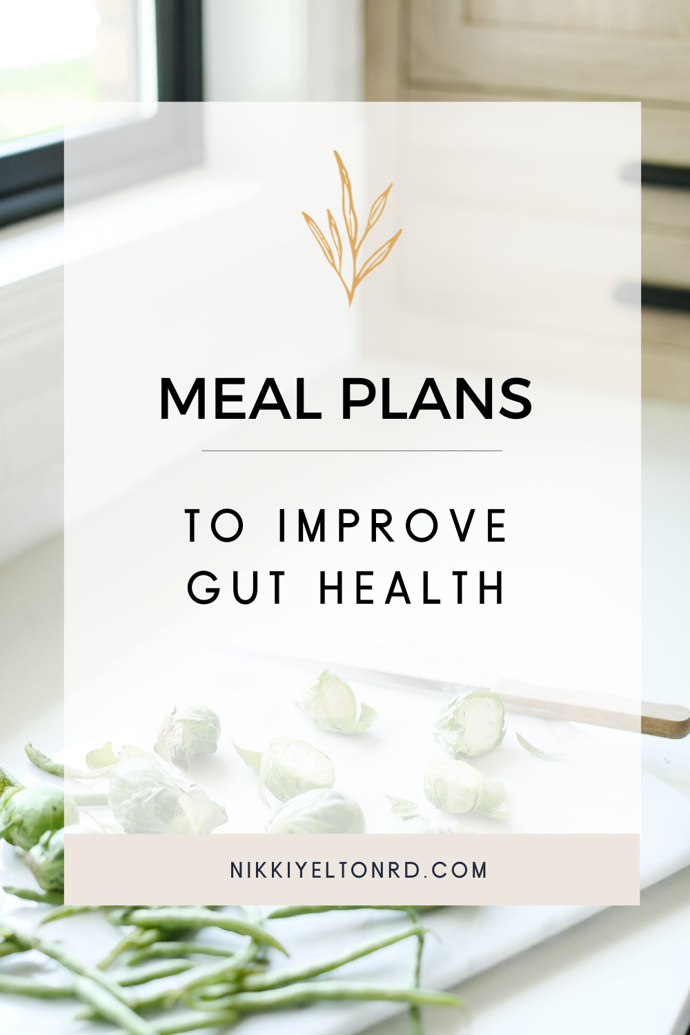 My Favorite Meal Plan Hacks For Gut Health & Autoimmunity - Nikki Yelton RD