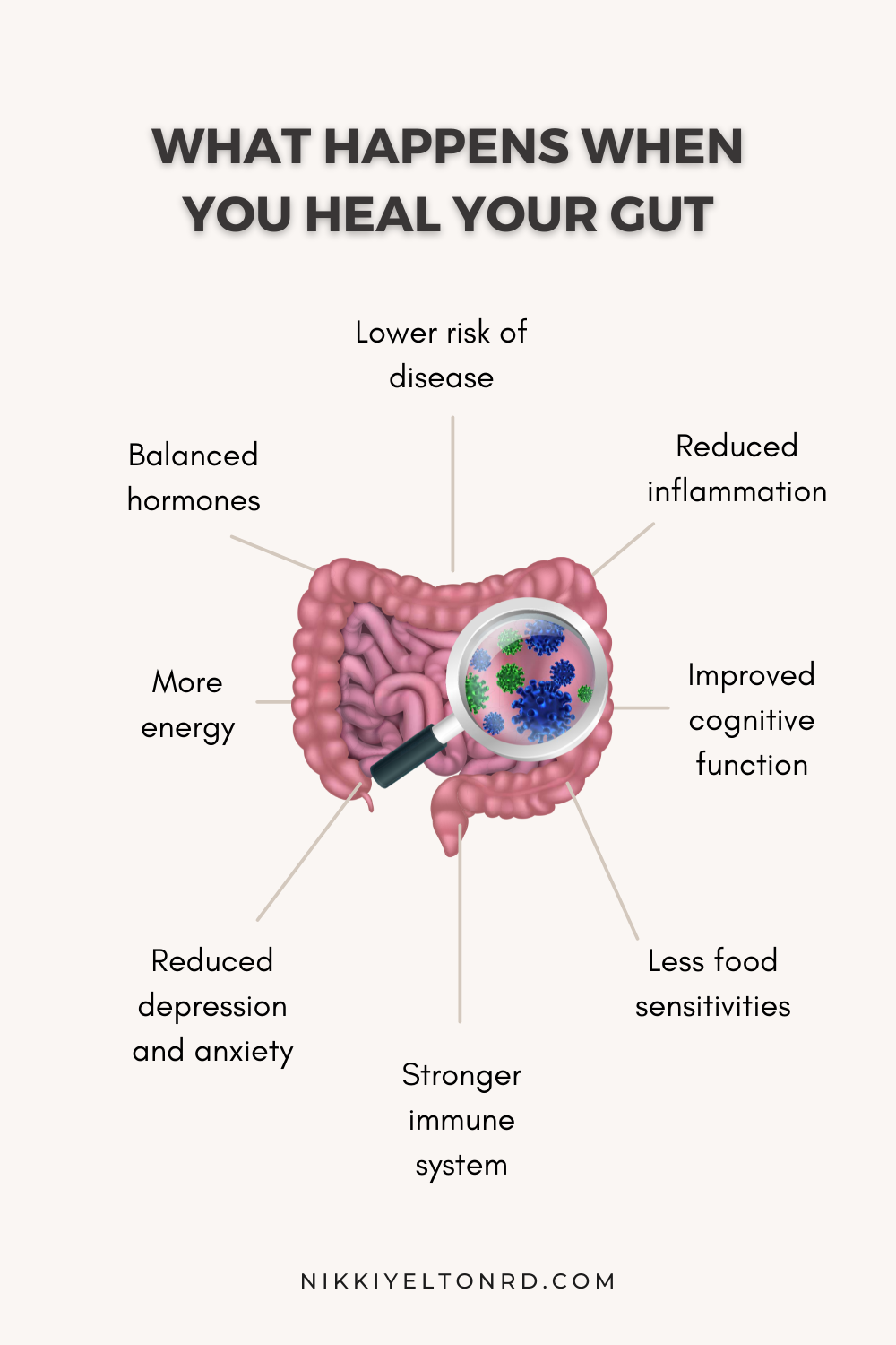 5 Reasons Why Gut Health Is Important - Nikki Yelton RD