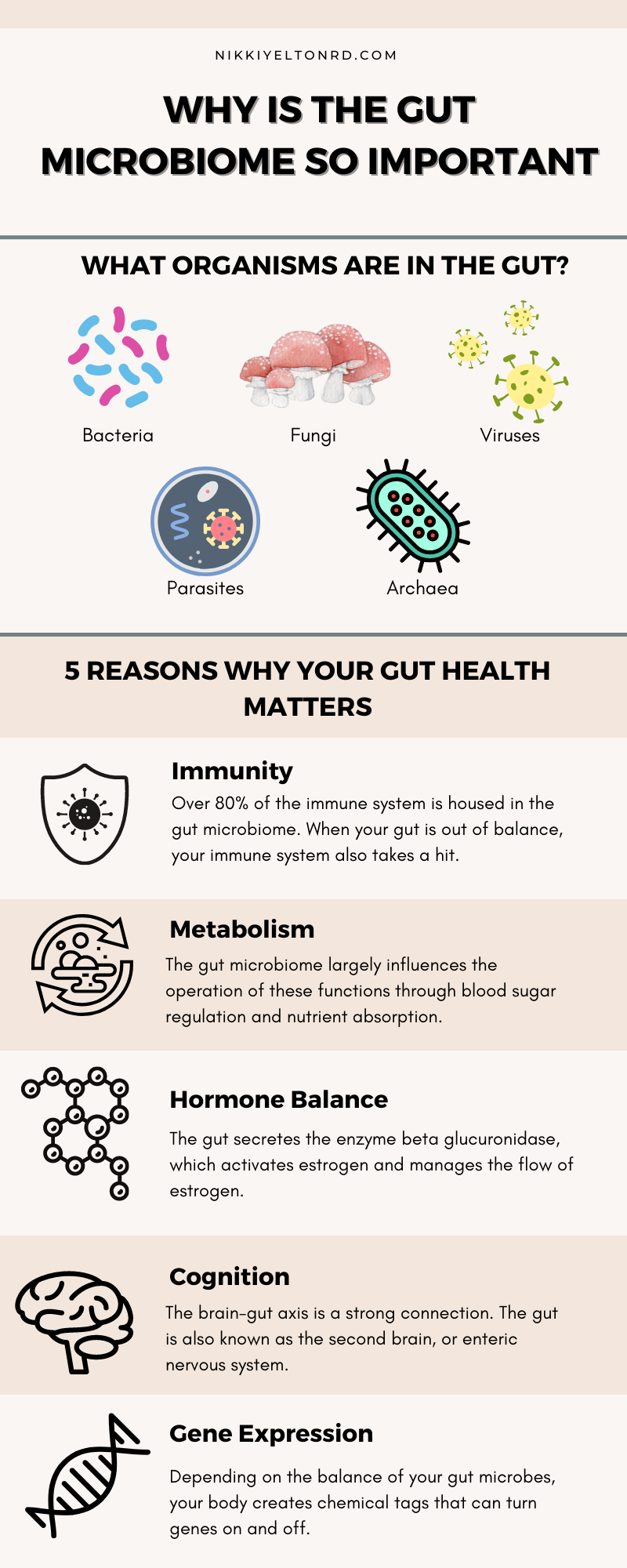 5 Reasons Why Gut Health Is Important - Nikki Yelton RD